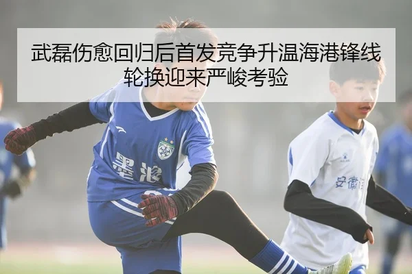 武磊伤愈回归后首发竞争升温海港锋线轮换迎来严峻考验